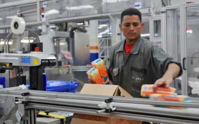 AI lightens the workload – but risks remain, labour agency warns | UN News – Global perspective Human stories