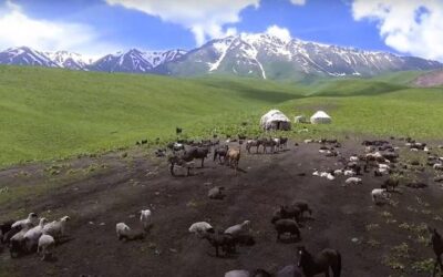 Climate change: How mountain communities are scaling new heights | UN News – Global perspective Human stories