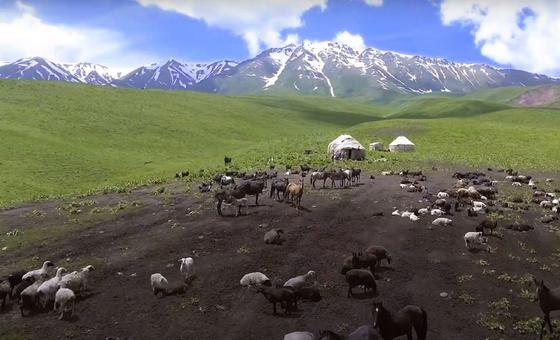 Climate change: How mountain communities are scaling new heights | UN News – Global perspective Human stories