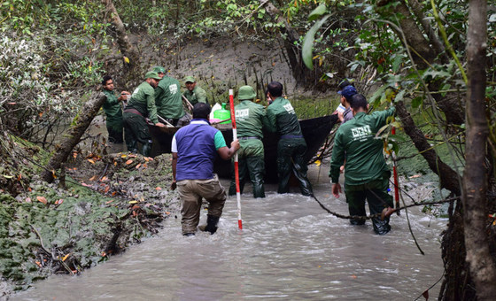 Bangladesh: World Heritage Site threatened by ‘heedless industrialisation’ – UN expert | UN News – Global perspective Human stories