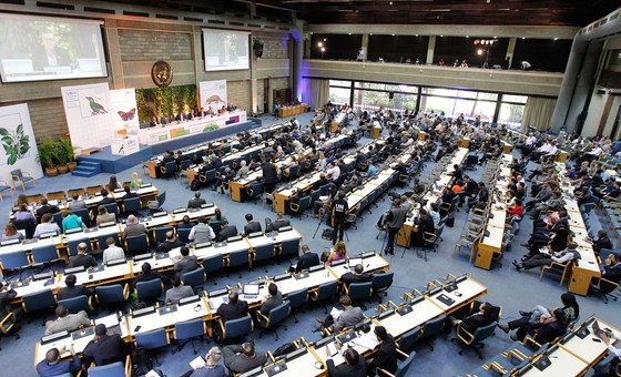 ‘Honest data’ and new ideas key to successful outcome, says UN Environment Assembly President | UN News – Global perspective Human stories