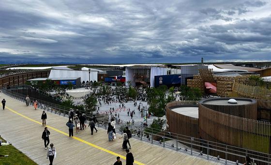 Shaping a better world at Expo 2025 in Japan | UN News – Global perspective Human stories