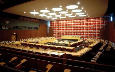 Ukraine among new members elected to UN Economic and Social Council | UN News – Global perspective Human stories