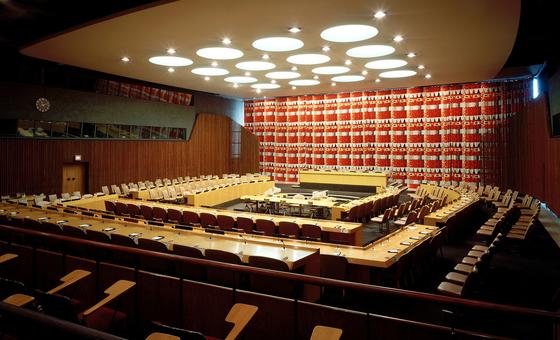 Ukraine among new members elected to UN Economic and Social Council | UN News – Global perspective Human stories