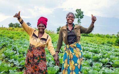 UN forum affirms stronger commitment to achieve sustainable development | UN News – Global perspective Human stories