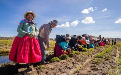 Seeding gender empowerment: Women farmers in Peru contend with climate change | UN News – Global perspective Human stories