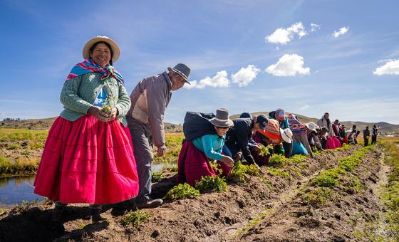 Seeding gender empowerment: Women farmers in Peru contend with climate change | UN News – Global perspective Human stories