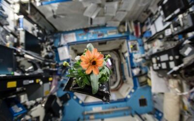 Space is not the final frontier – it is the foundation of our future: UN deputy chief | UN News – Global perspective Human stories