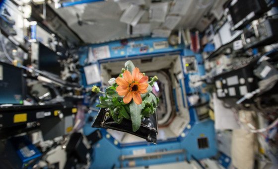 Space is not the final frontier – it is the foundation of our future: UN deputy chief | UN News – Global perspective Human stories