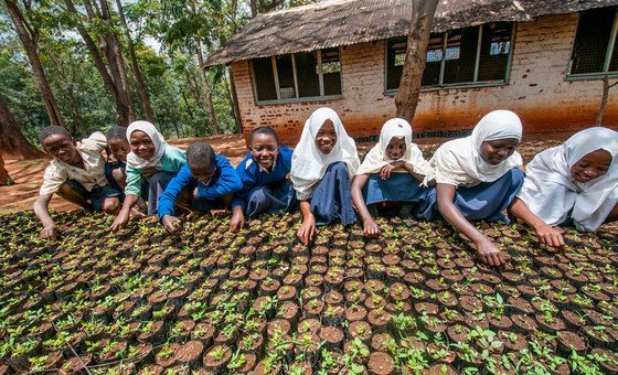 From diamonds to dirt: Sierra Leone youth bring land back to life | UN News – Global perspective Human stories