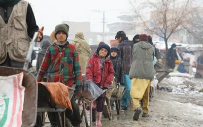 World News in Brief: Funding schools in Afghanistan, Seaweed farming in Latin America, drought in Somalia | UN News – Global perspective Human stories