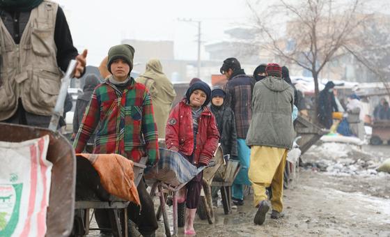World News in Brief: Funding schools in Afghanistan, Seaweed farming in Latin America, drought in Somalia | UN News – Global perspective Human stories