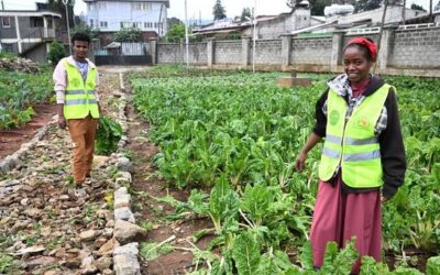 Young people take the lead for a more sustainable future | UN News – Global perspective Human stories